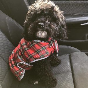 Meet your Posher, Vanessa